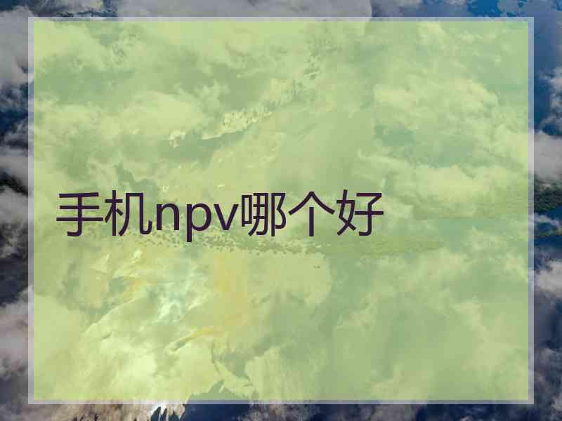 手机npv哪个好