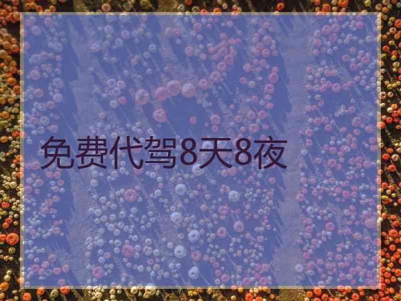 免费代驾8天8夜