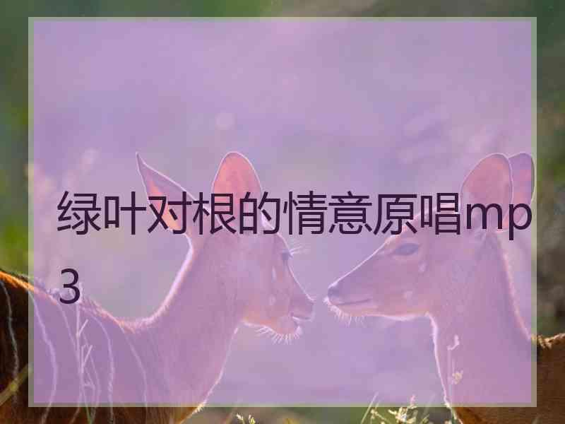 绿叶对根的情意原唱mp3