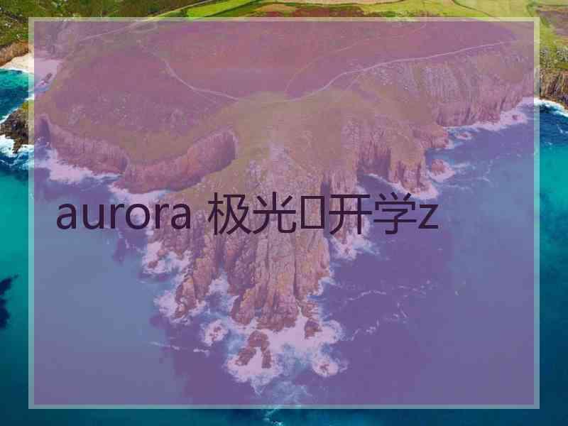 aurora 极光✨开学z