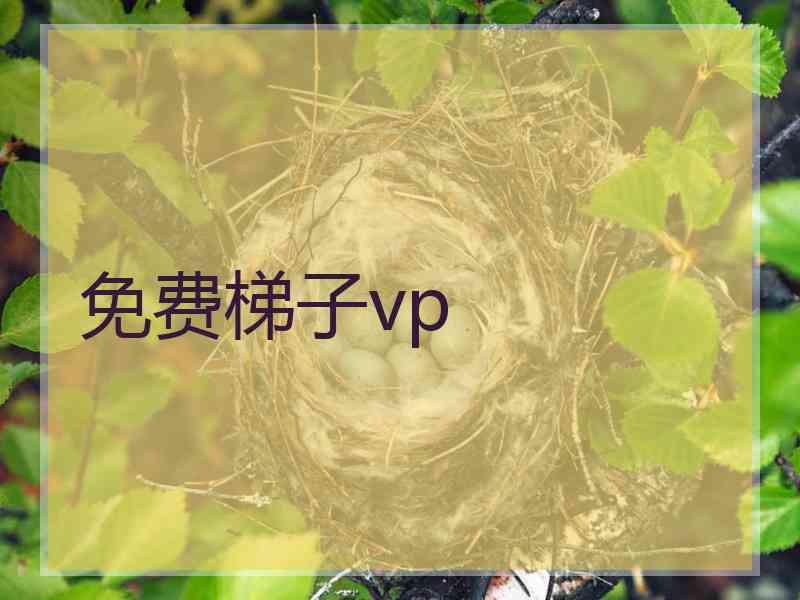 免费梯子vp