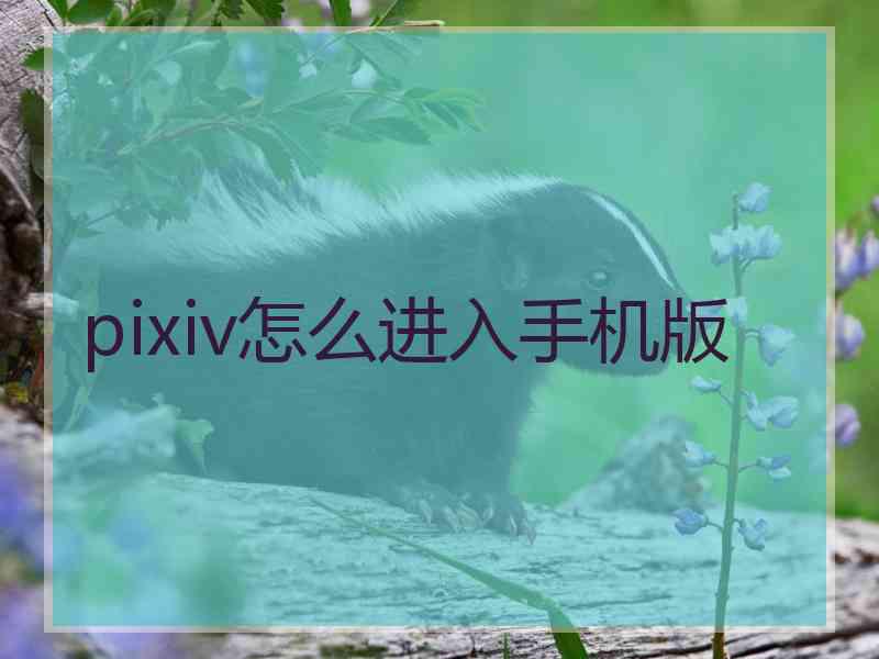 pixiv怎么进入手机版