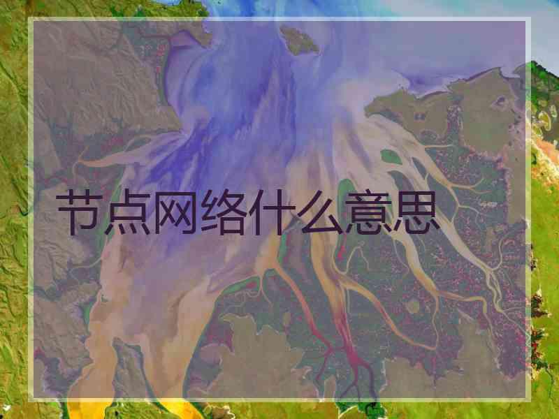 节点网络什么意思