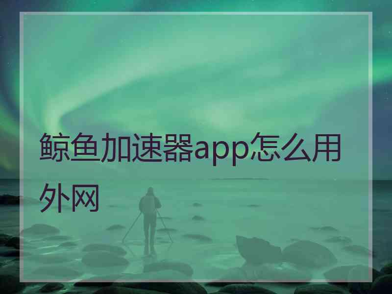 鲸鱼加速器app怎么用外网