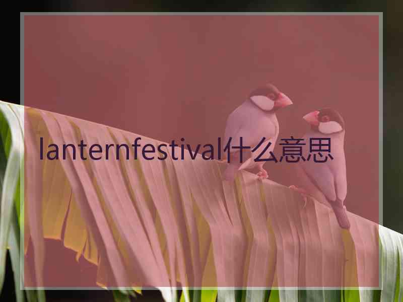 lanternfestival什么意思