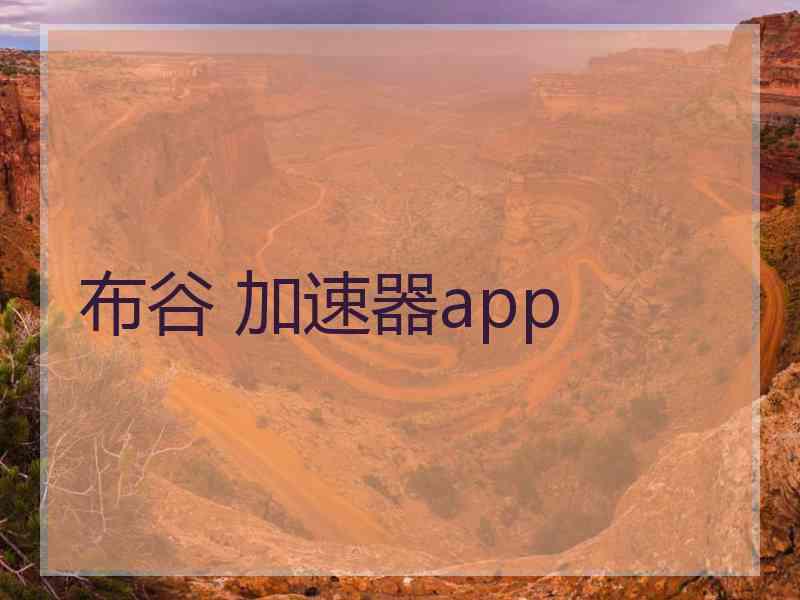 布谷 加速器app