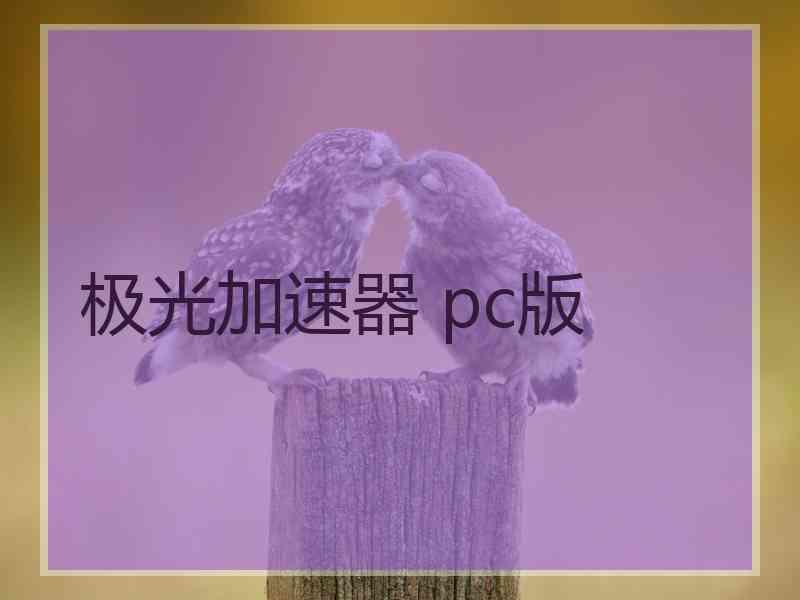 极光加速器 pc版