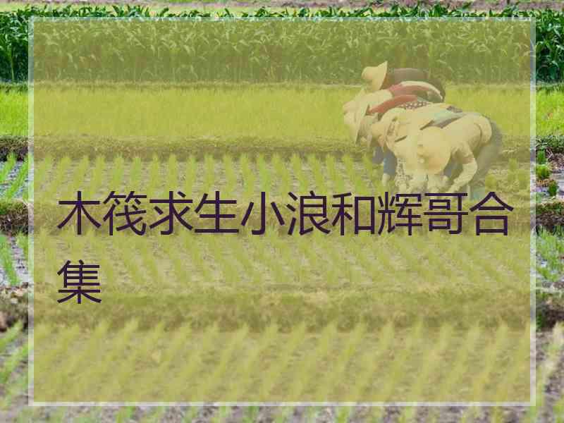 木筏求生小浪和辉哥合集