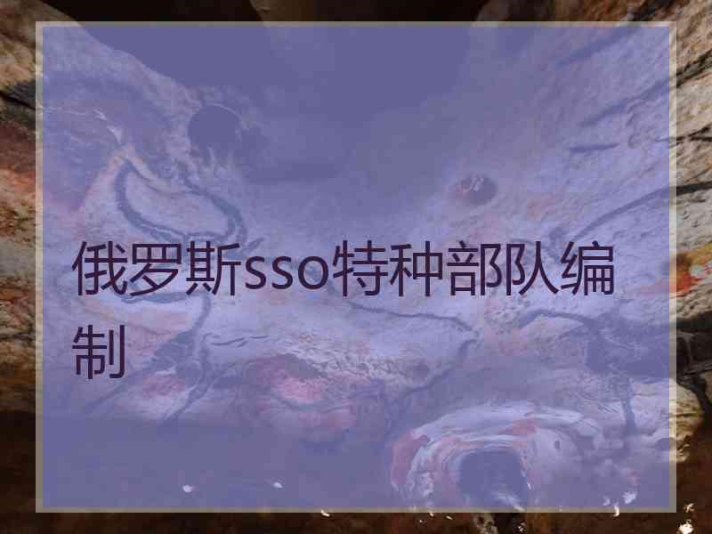 俄罗斯sso特种部队编制