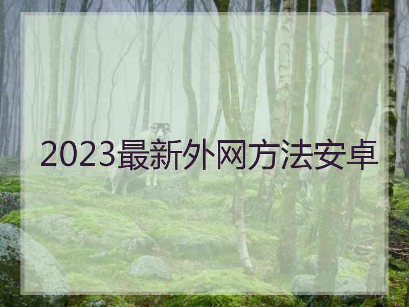 2023最新外网方法安卓