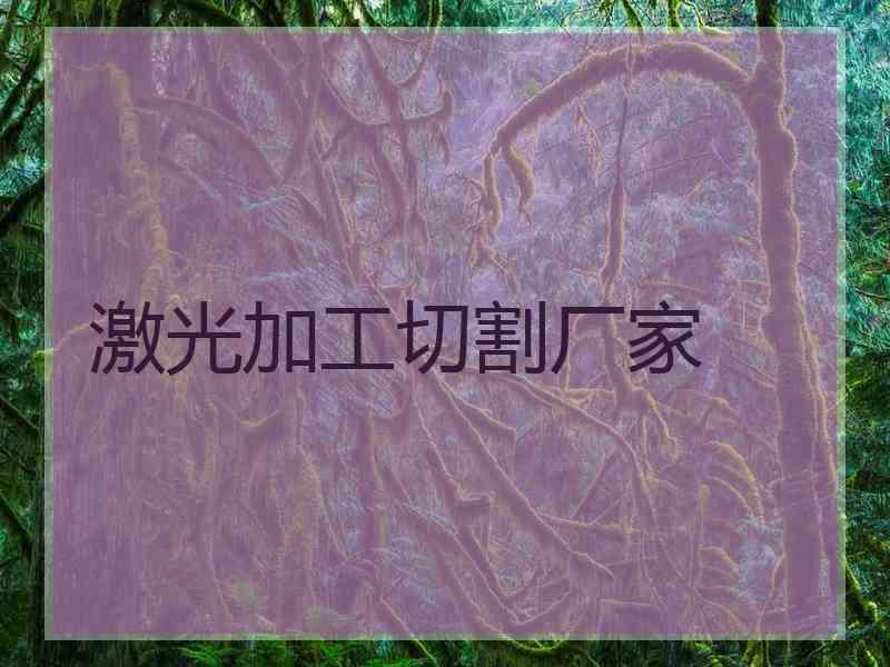 激光加工切割厂家
