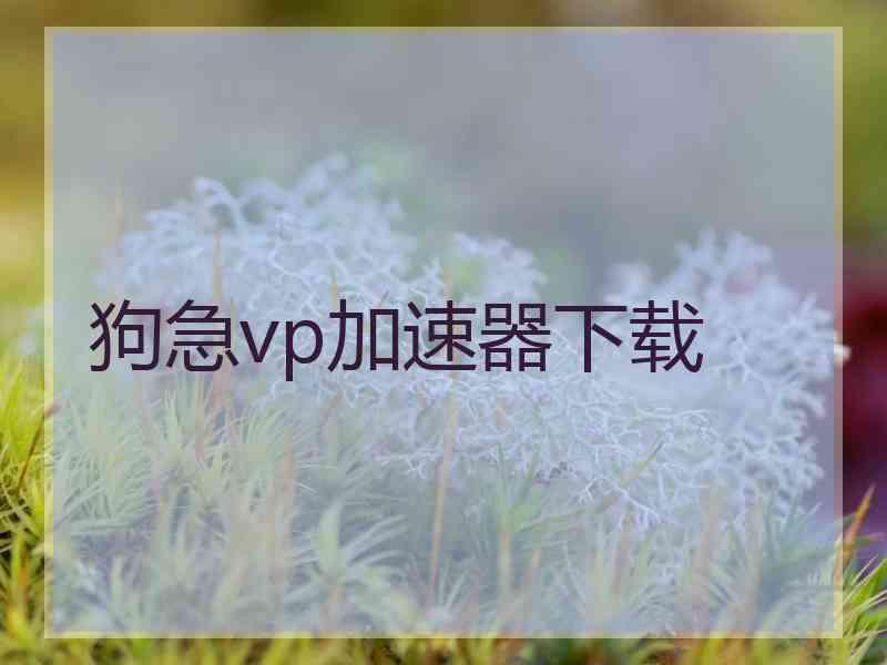 狗急vp加速器下载