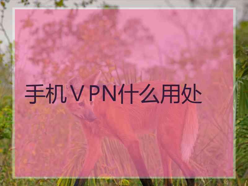 手机ⅤPN什么用处