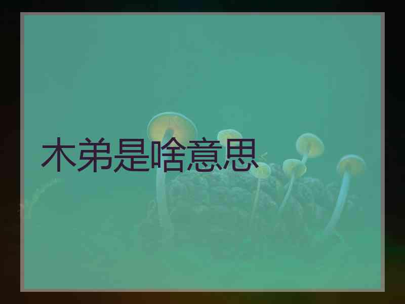 木弟是啥意思