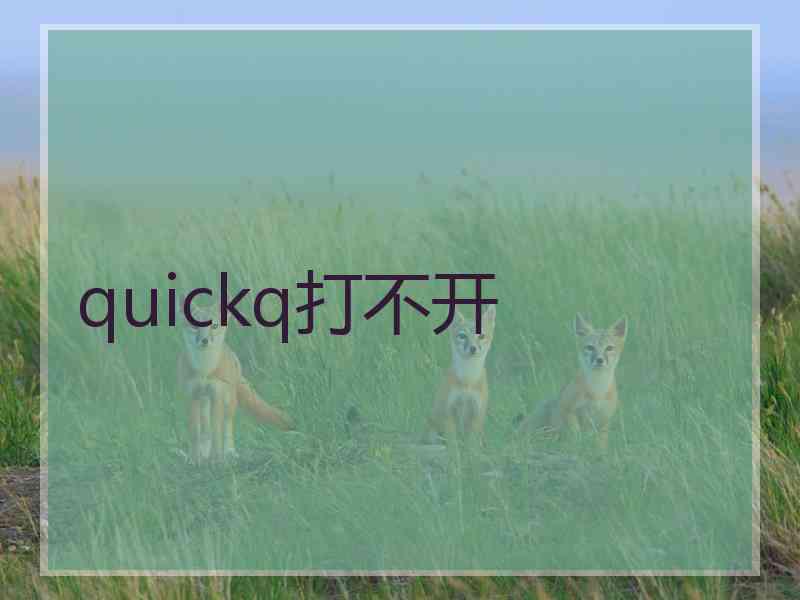 quickq打不开