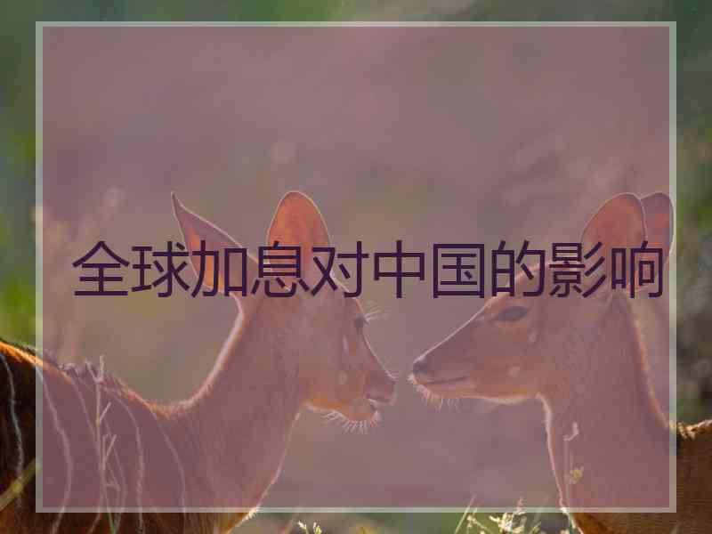 全球加息对中国的影响