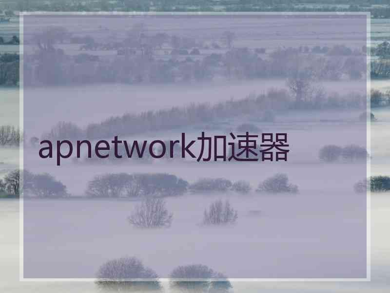 apnetwork加速器