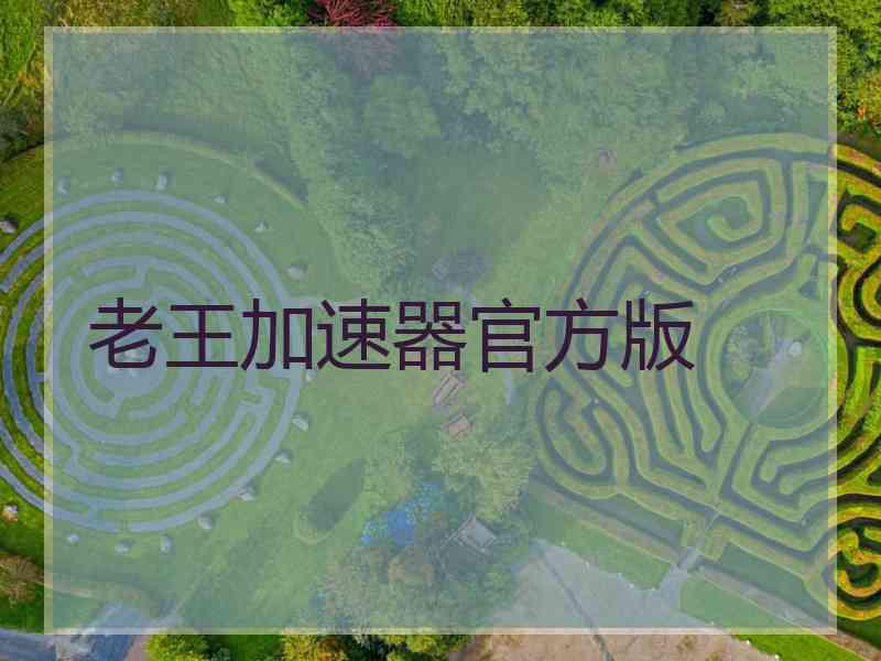 老王加速器官方版