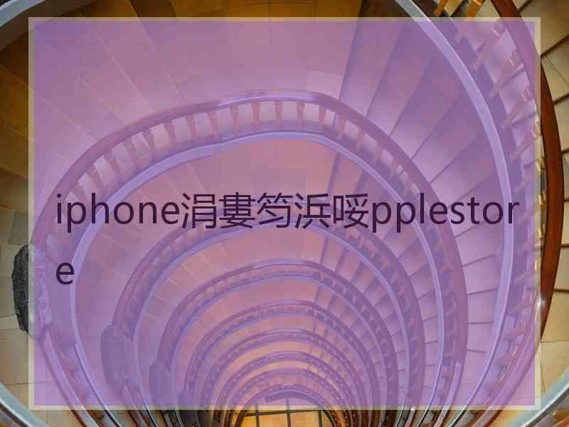 iphone涓婁笉浜哸pplestore