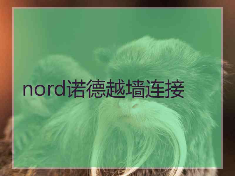 nord诺德越墙连接