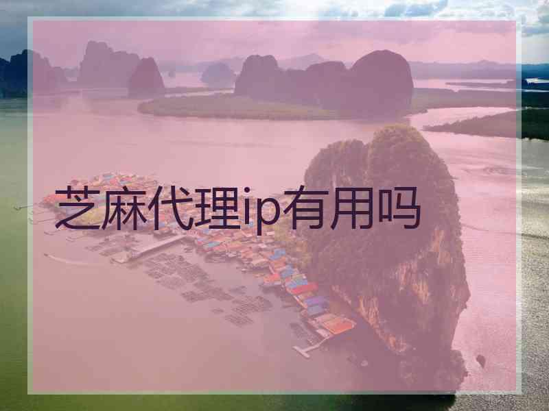 芝麻代理ip有用吗