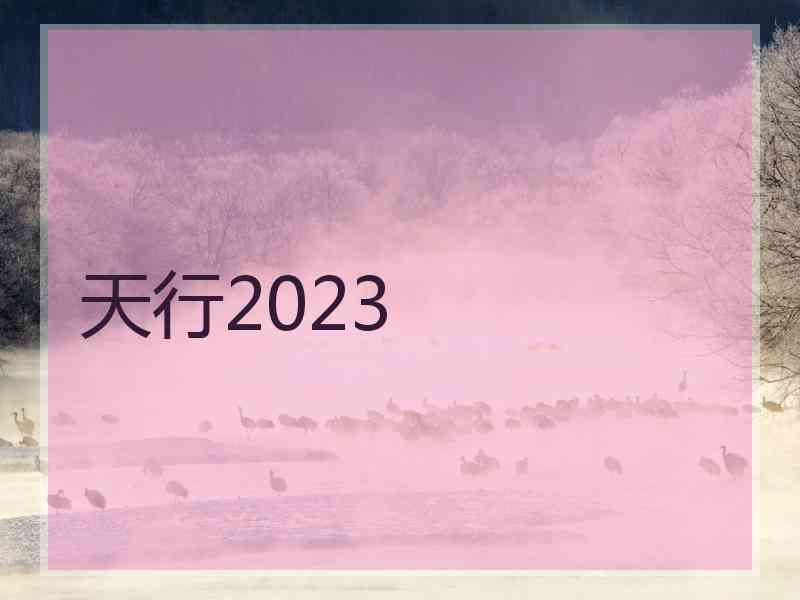 天行2023