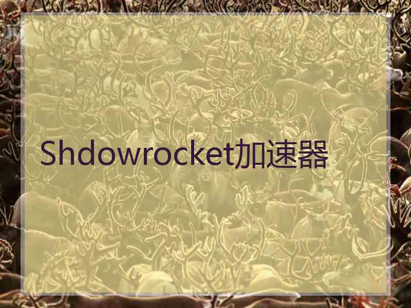 Shdowrocket加速器