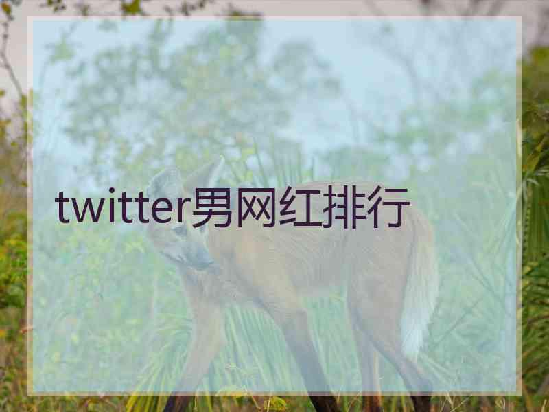 twitter男网红排行