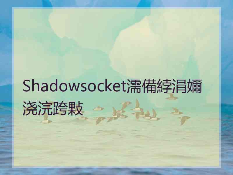 Shadowsocket濡備綍涓嬭浇浣跨敤