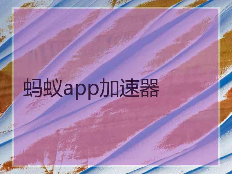 蚂蚁app加速器