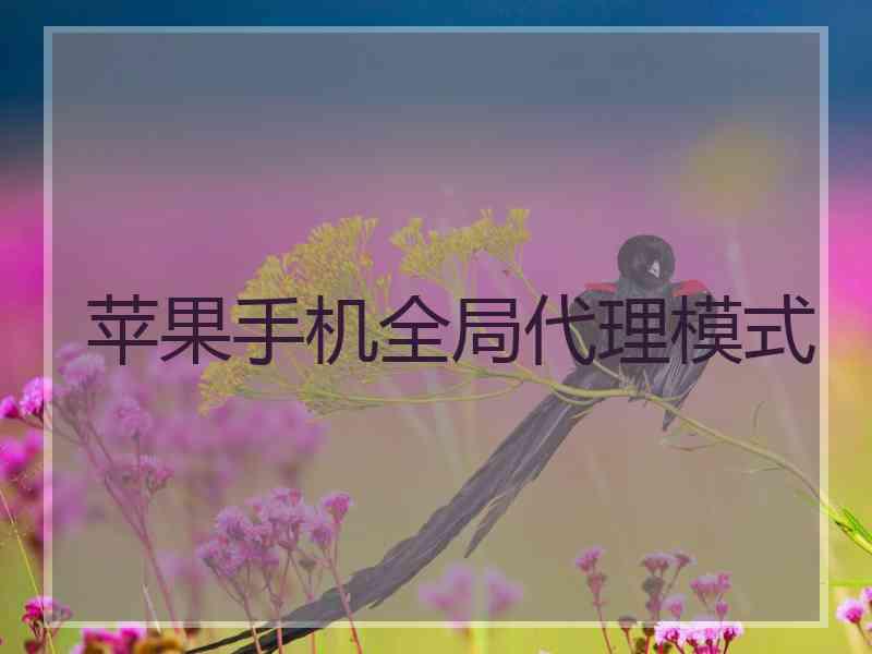 苹果手机全局代理模式