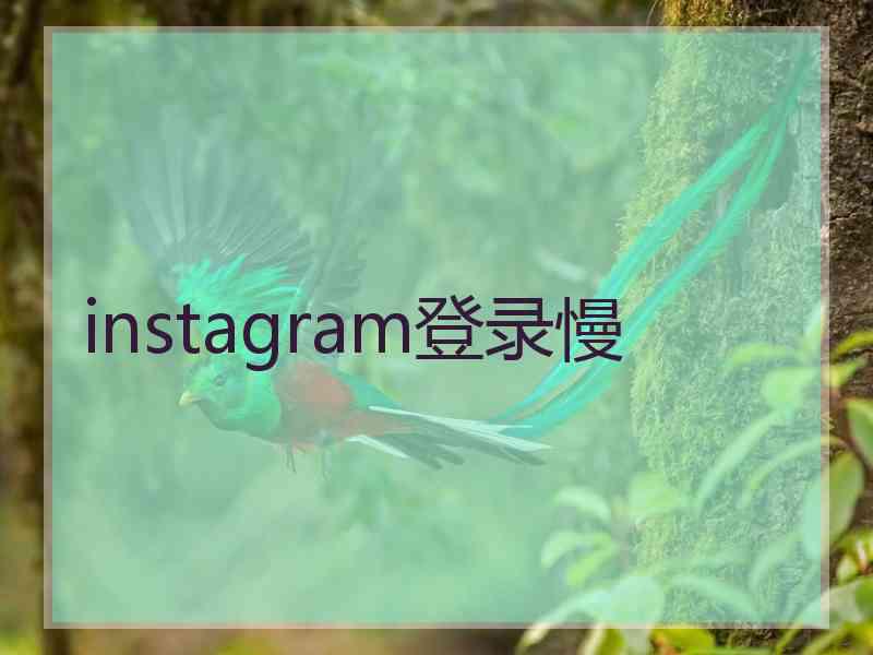 instagram登录慢