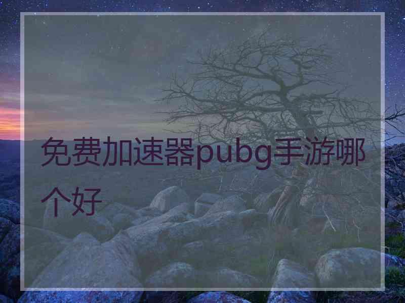 免费加速器pubg手游哪个好