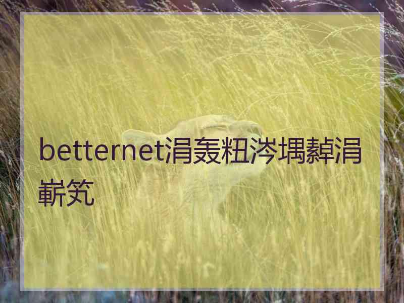 betternet涓轰粈涔堣繛涓嶄笂