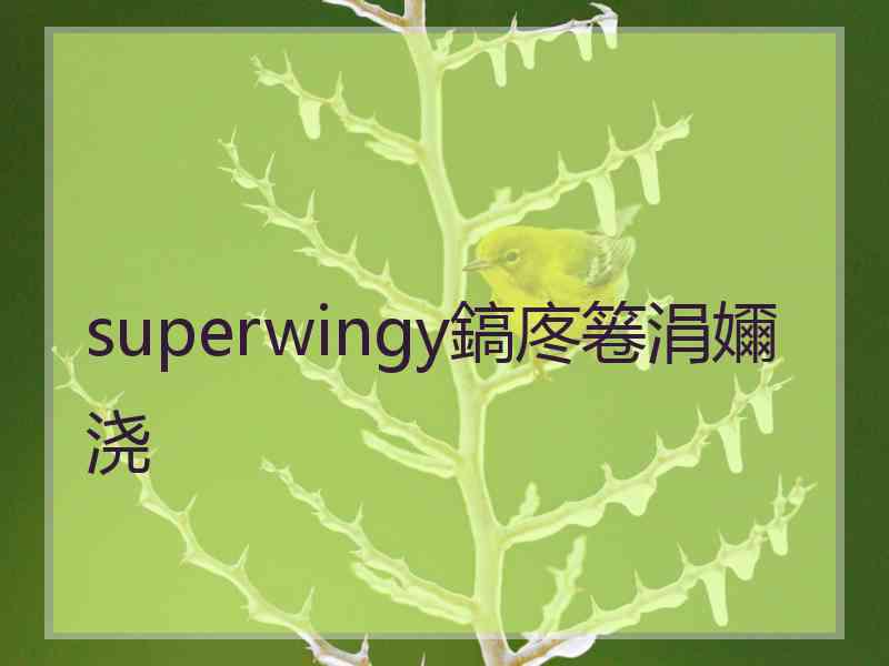 superwingy鎬庝箞涓嬭浇