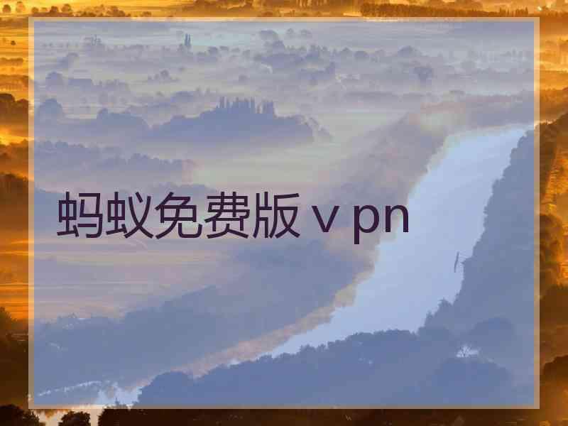 蚂蚁免费版ⅴpn