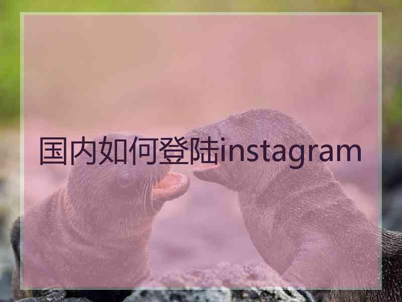 国内如何登陆instagram