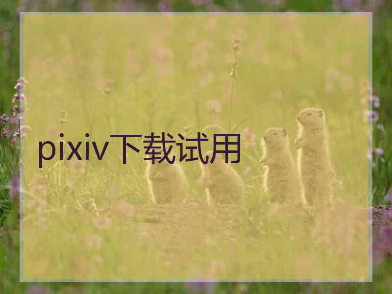 pixiv下载试用