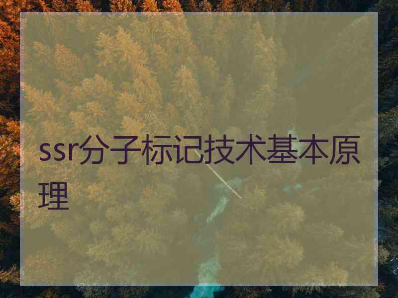 ssr分子标记技术基本原理