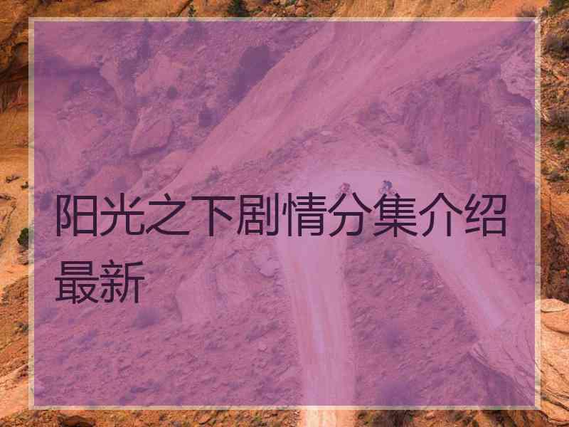 阳光之下剧情分集介绍最新