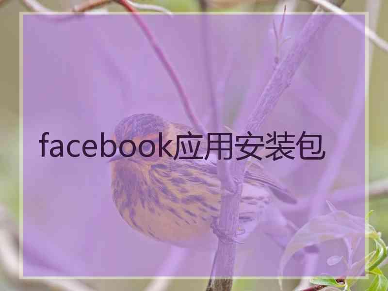 facebook应用安装包