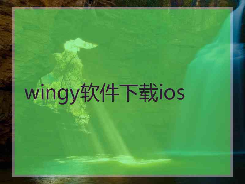 wingy软件下载ios