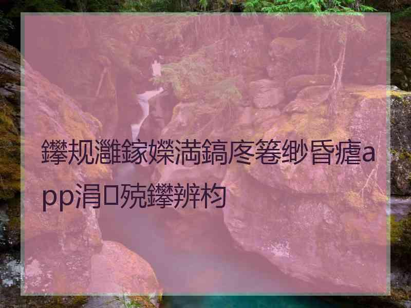 鑻规灉鎵嬫満鎬庝箞缈昏瘧app涓殑鑻辨枃