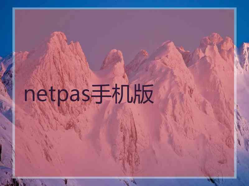 netpas手机版