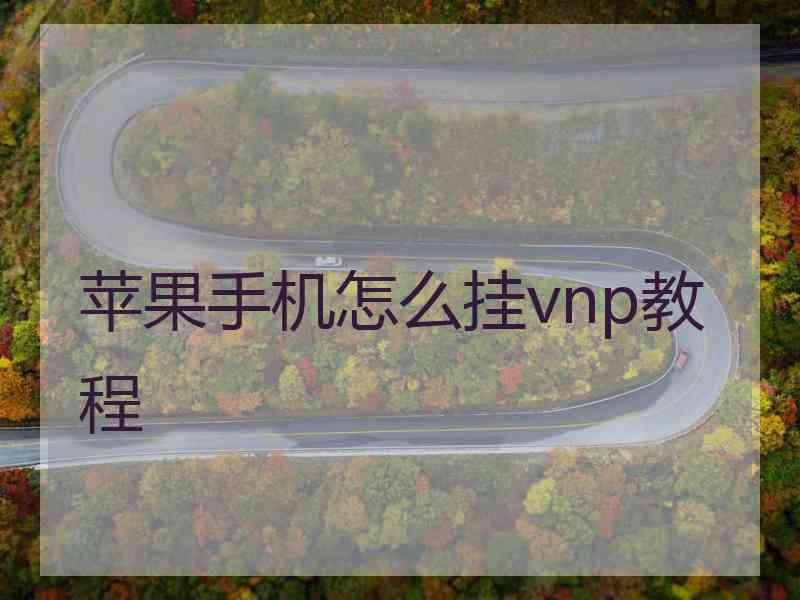 苹果手机怎么挂vnp教程