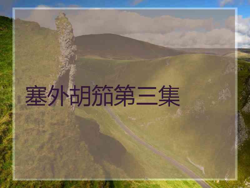 塞外胡笳第三集