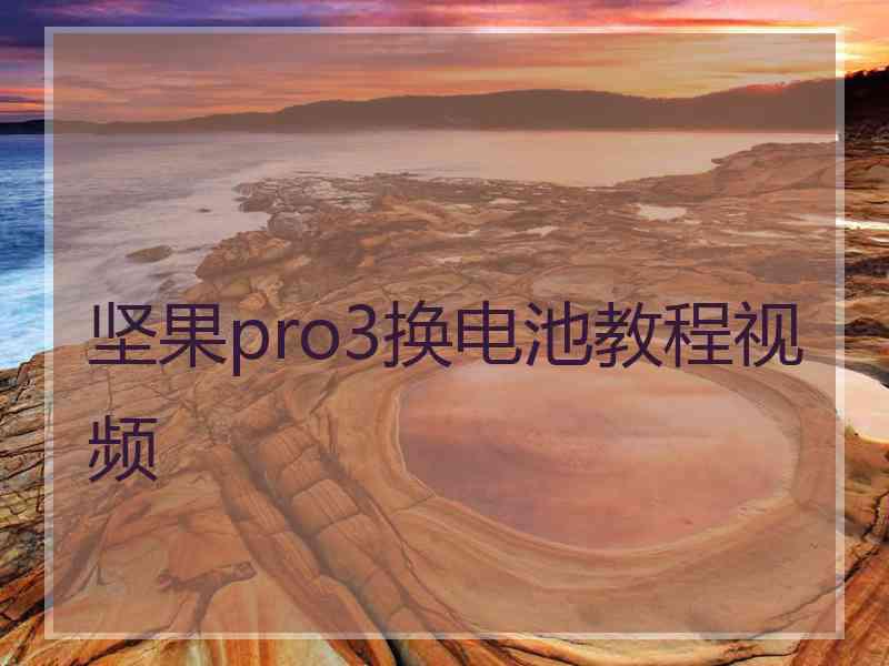 坚果pro3换电池教程视频