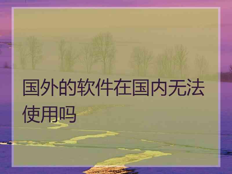国外的软件在国内无法使用吗