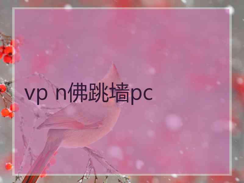 vp n佛跳墙pc