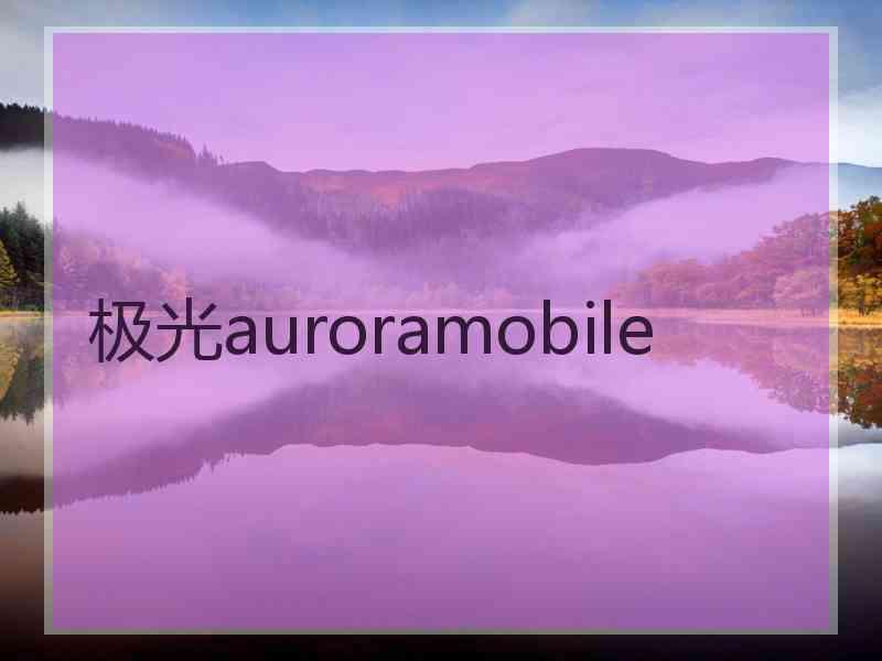 极光auroramobile